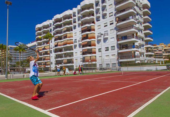 Apartment in Playa de Gandía - Beautiful property with 3 bedrooms. Swimming pool. Satellite TV. Wifi Apartment in Playa de Gandía - Beautiful property with 3 bedrooms. Swimming pool. Satellite TV. Wifi
