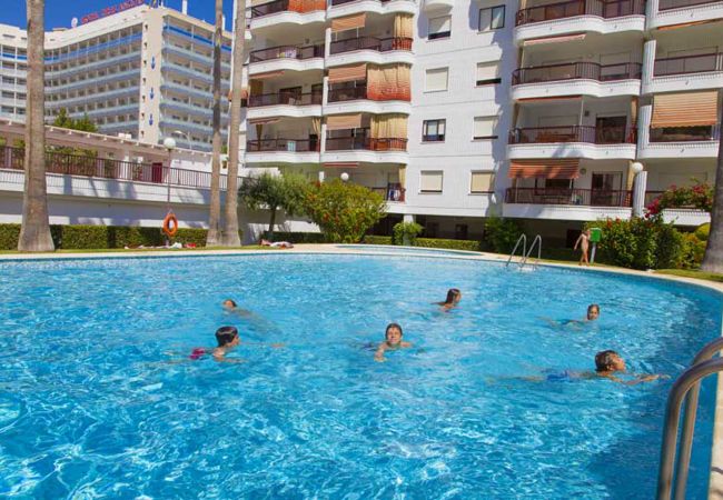 Apartment in Playa de Gandía - Beautiful property with 3 bedrooms. Swimming pool. Satellite TV. Wifi Apartment in Playa de Gandía - Beautiful property with 3 bedrooms. Swimming pool. Satellite TV. Wifi