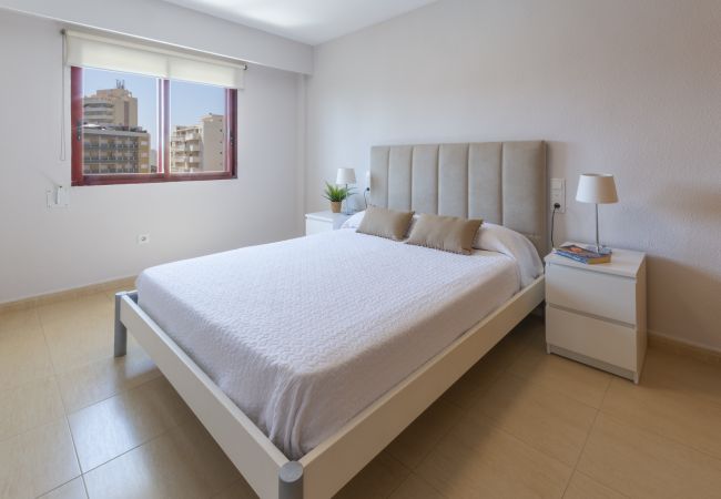 Apartment in Playa de Gandía - Beautiful property with 3 bedrooms. Swimming pool. Satellite TV. Wifi Apartment in Playa de Gandía - Beautiful property with 3 bedrooms. Swimming pool. Satellite TV. Wifi