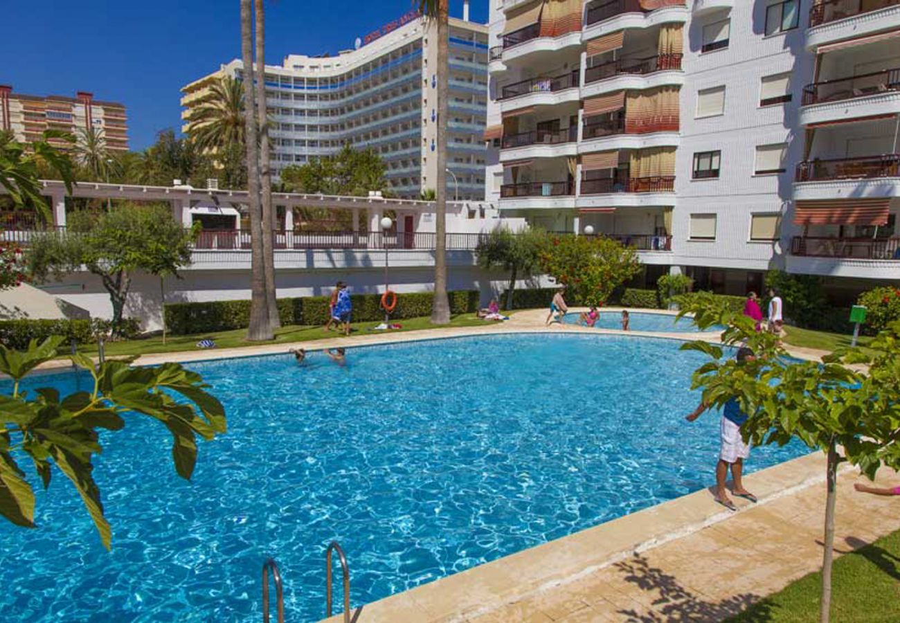 Apartment in Playa de Gandía - Beautiful property with 3 bedrooms. Swimming pool. Satellite TV. Wifi