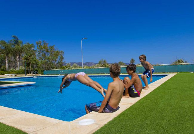 Apartment in Playa de Gandía - Ocean view condo located steps from the beach. Modern decoration! Apartment in Playa de Gandía - Ocean view condo located steps from the beach. Modern decoration!