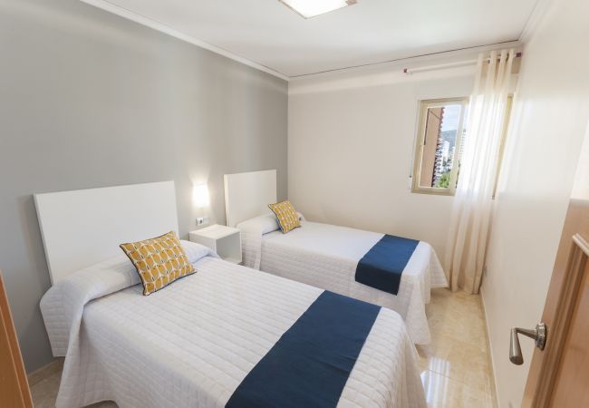 Apartment in Playa de Gandía - Amazing Oceanfront 3 Bedroom Condo Apartment in Playa de Gandía - Amazing Oceanfront 3 Bedroom Condo