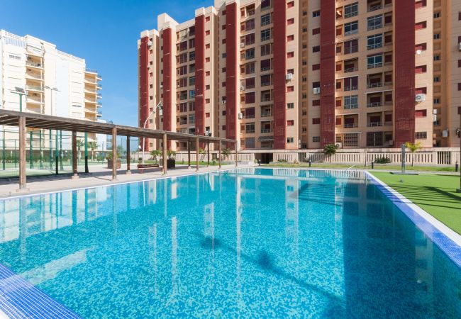 Apartment in Playa de Gandía - Amazing Oceanfront 3 Bedroom Condo Apartment in Playa de Gandía - Amazing Oceanfront 3 Bedroom Condo