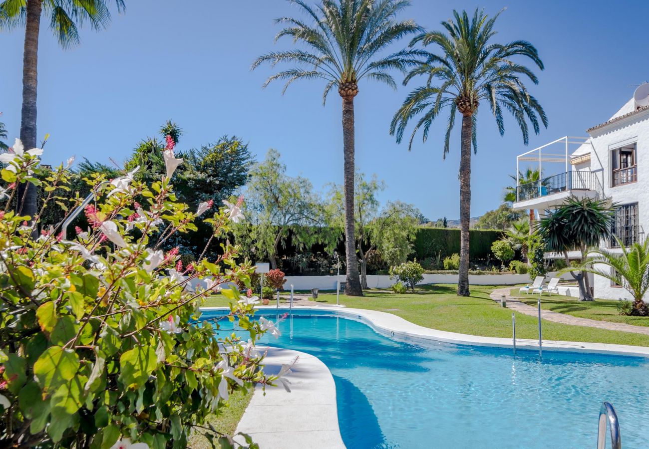 Magnificent apartment in Nueva Andalucia Swimming Pool of Magnificent apartment in Nueva Andalucia