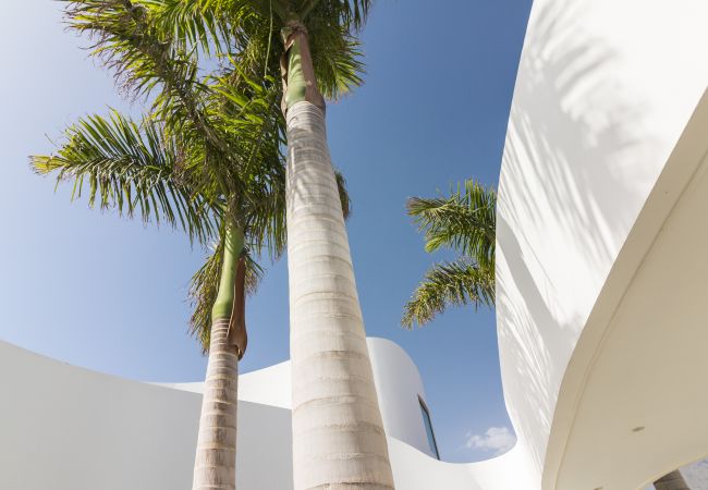 Villa in Adeje - Villa Oasis del Sur Villa in Adeje - Villa Oasis del Sur