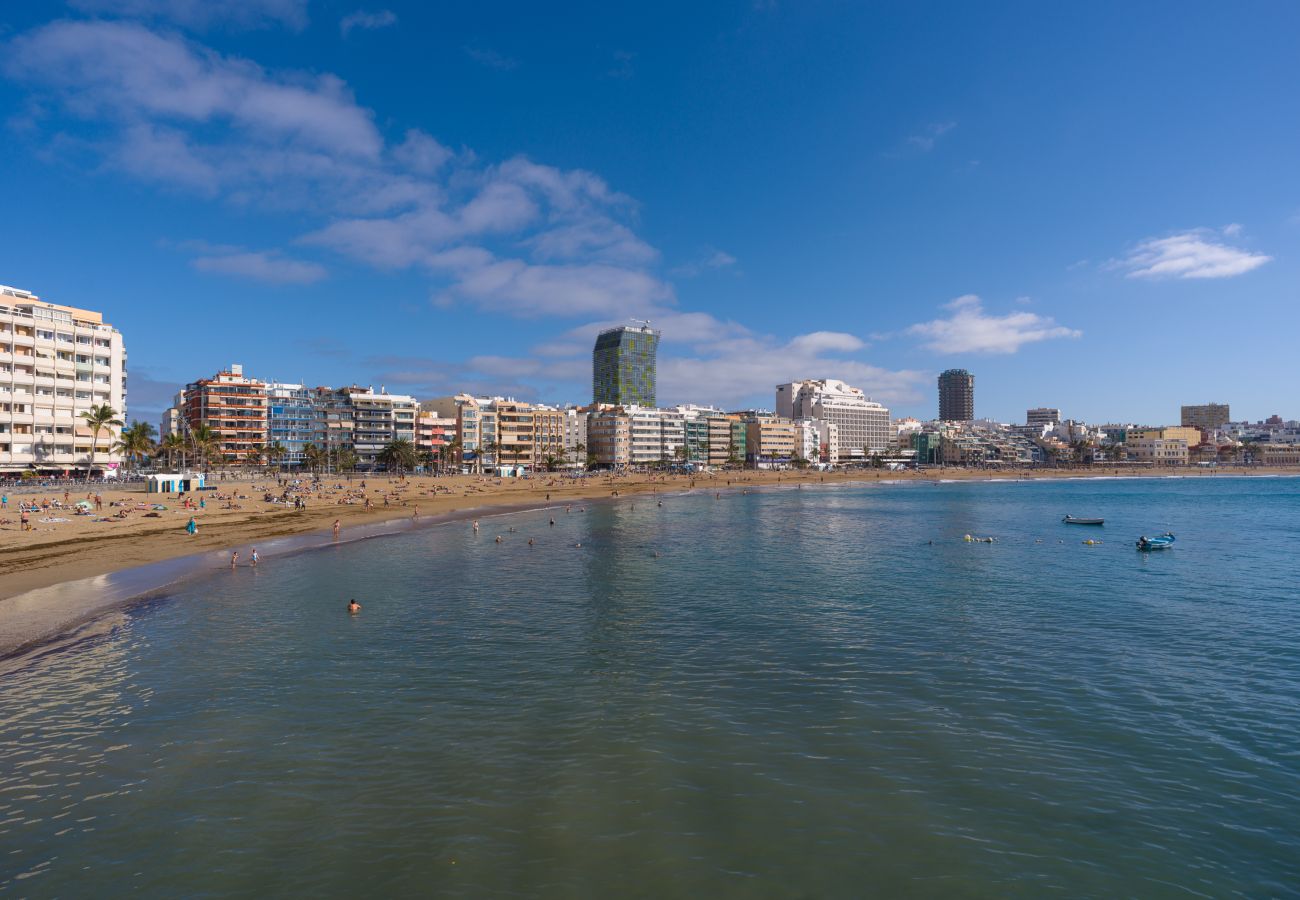 House in Las Palmas de Gran Canaria - Castle and Park view  By CanariasGetaway 