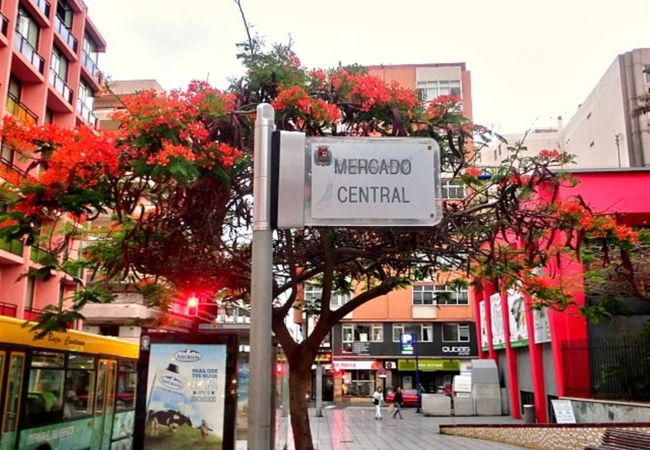 Studio in Las Palmas de Gran Canaria - Edison Building 304 By CanariasGetaway  Studio in Las Palmas de Gran Canaria - Edison Building 304 By CanariasGetaway