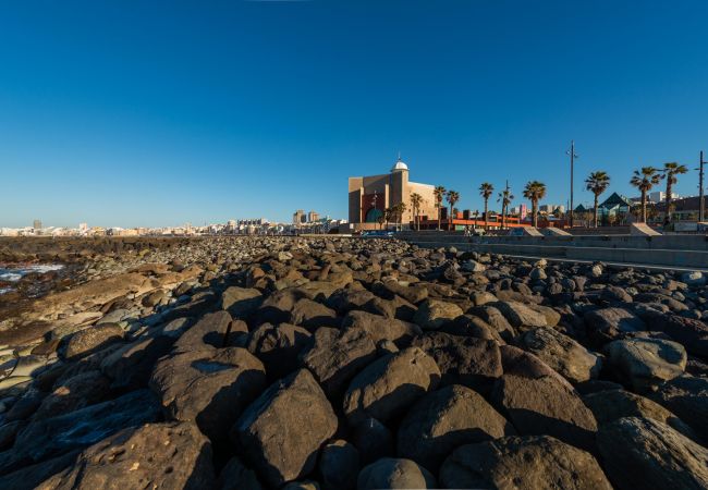 Studio in Las Palmas de Gran Canaria - Edison Building 304 By CanariasGetaway  Studio in Las Palmas de Gran Canaria - Edison Building 304 By CanariasGetaway