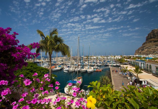 Studio in Las Palmas de Gran Canaria - Edison Building 304 By CanariasGetaway  Studio in Las Palmas de Gran Canaria - Edison Building 304 By CanariasGetaway