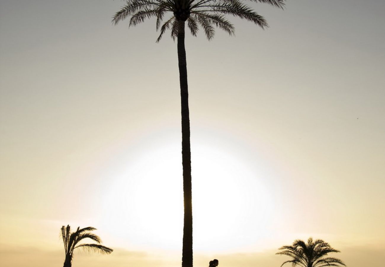 Apartment in Playa de Gandía - Amazing apartment decorated, with wifi, in front of the beach, AG TURQUESA 2A Premium 