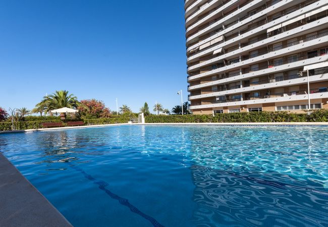 Apartment in Playa de Gandía - Spectacular condo with incredible views. Reformed. Apartment in Playa de Gandía - Spectacular condo with incredible views. Reformed.