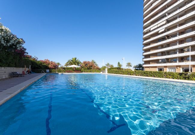 Apartment in Playa de Gandía - Spectacular condo with incredible views. Reformed. Apartment in Playa de Gandía - Spectacular condo with incredible views. Reformed.