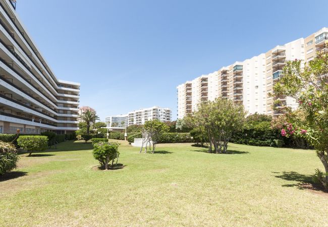 Apartment in Playa de Gandía - Spectacular condo with incredible views. Reformed. Apartment in Playa de Gandía - Spectacular condo with incredible views. Reformed.
