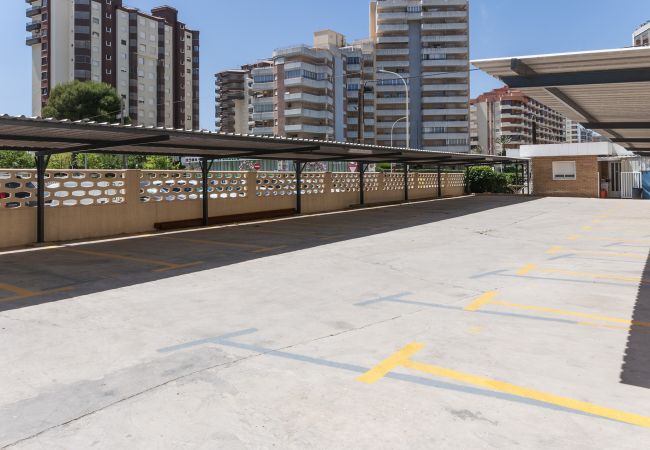Apartment in Playa de Gandía - Spectacular condo with incredible views. Reformed. Apartment in Playa de Gandía - Spectacular condo with incredible views. Reformed.