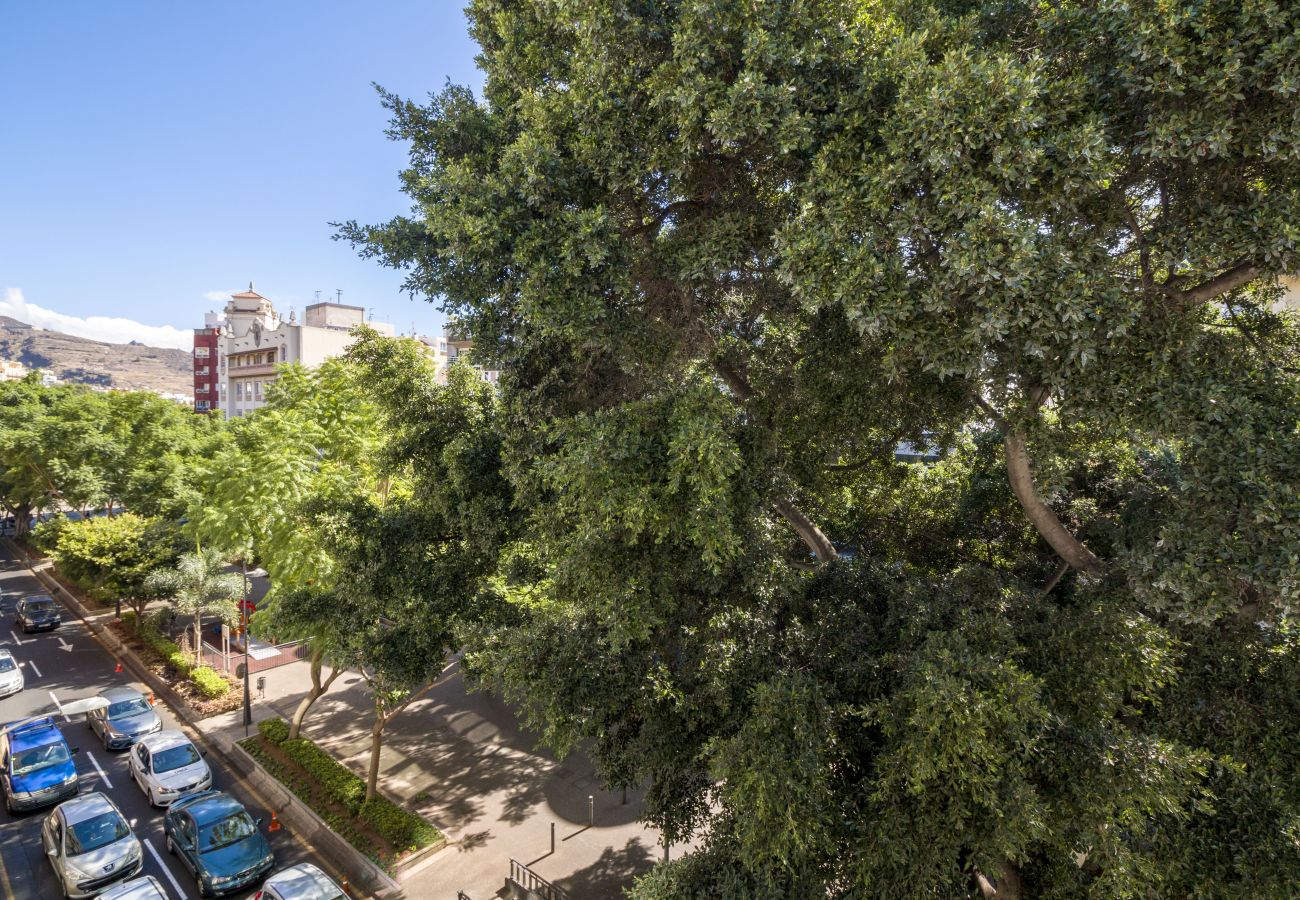 Apartment in Santa Cruz de Tenerife - HomeForGuest Design Attic Apartment, FREE parking