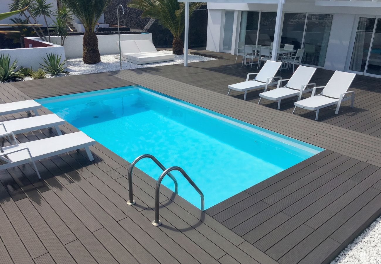 Elevated view of pool and loungers