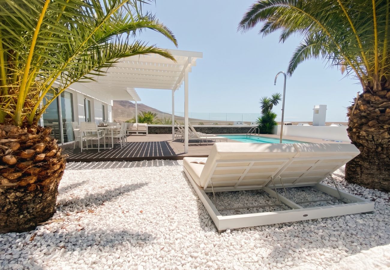 Garden area with palm tree and lounger