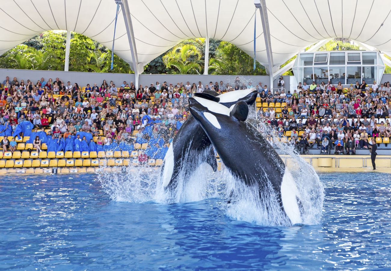 Apartment in Arico - HomeForGuest NextDoor Oasis: ocean front, terrace, natural pool- HomeForGuest