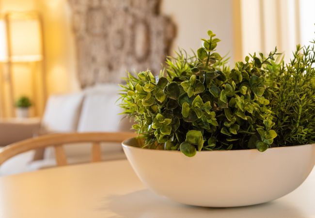 Apartment in Playa de Gandía - Refurbished, with AC, heating, Wifi, Frontline, terrace, International channels Apartment in Playa de Gandía - Refurbished, with AC, heating, Wifi, Frontline, terrace, International channels