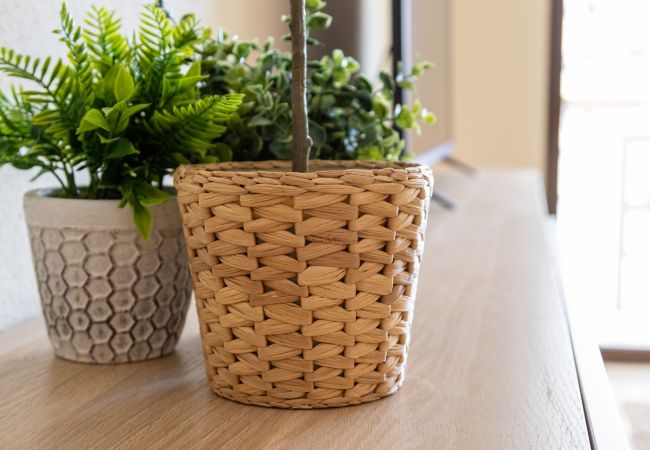Apartment in Playa de Gandía - Refurbished, with AC, heating, Wifi, Frontline, terrace, International channels Apartment in Playa de Gandía - Refurbished, with AC, heating, Wifi, Frontline, terrace, International channels