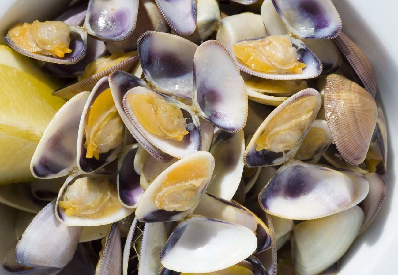 Apartment in Gandía - PRECIOSO APARTAMENTO EN CENTRO CIUDAD