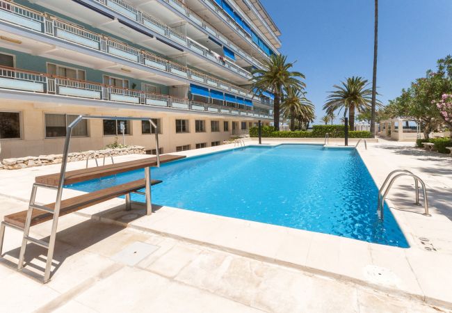 Apartment in Playa de Gandía - PRECIOSO APARTAMENTO SITUADO EN PRIMERA LÍNEA DE PLAYA Apartment in Playa de Gandía - PRECIOSO APARTAMENTO SITUADO EN PRIMERA LÍNEA DE PLAYA