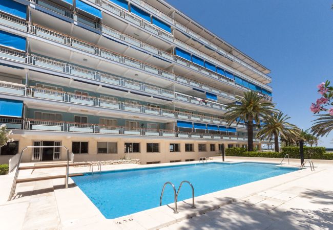 Apartment in Playa de Gandía - PRECIOSO APARTAMENTO SITUADO EN PRIMERA LÍNEA DE PLAYA Apartment in Playa de Gandía - PRECIOSO APARTAMENTO SITUADO EN PRIMERA LÍNEA DE PLAYA