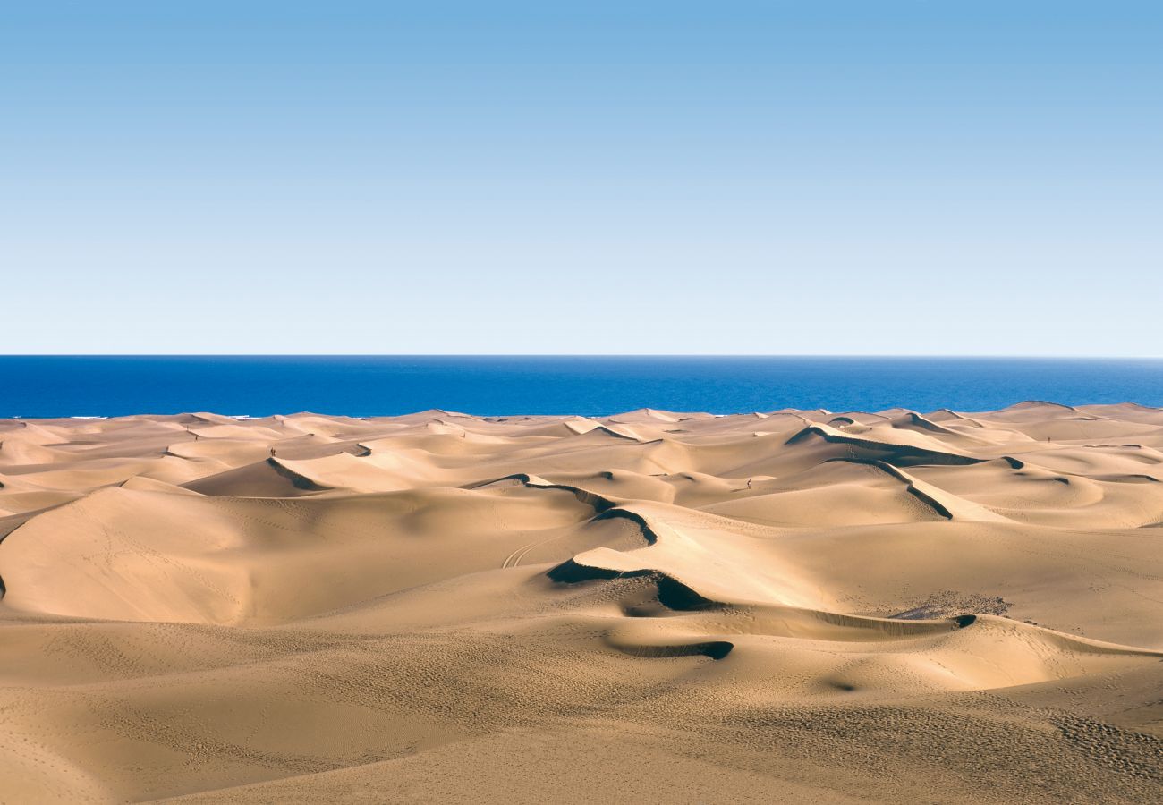 House in Las Palmas de Gran Canaria - Eli Home on the beach+Parking + Airco by CanariasGetaway House in Las Palmas de Gran Canaria - Eli Home on the beach+Parking + Airco by CanariasGetaway