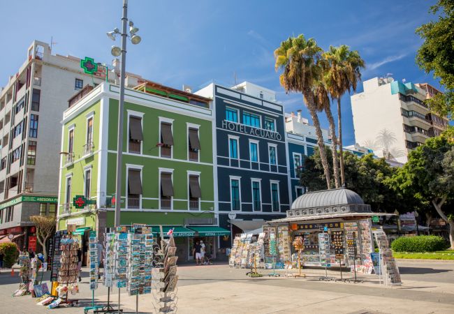 House in Las Palmas de Gran Canaria - Design in the Midtown by CanariasGetaway House in Las Palmas de Gran Canaria - Design in the Midtown by CanariasGetaway