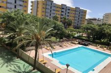 Apartment in Las Palmas de Gran Canaria - Flat with extensive gardens PARKING GYM terrace and swimming pool