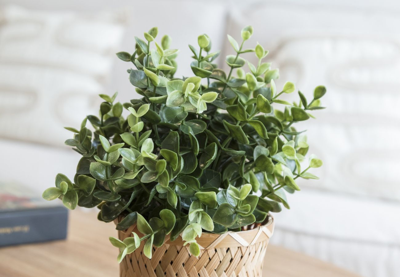 Apartment in Playa de Gandía - Elegante Apartamento familiar de 2 dormitorios. Wifi