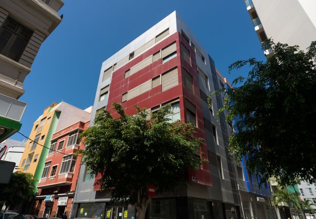 House in Las Palmas de Gran Canaria -  Remote workers house By CanariasGetaway House in Las Palmas de Gran Canaria -  Remote workers house By CanariasGetaway