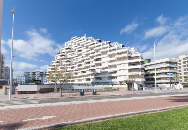 Apartment in Playa de Gandía - Amazing Apartment in front of the Beach with sunny terrace. Airco. Apartment in Playa de Gandía - Amazing Apartment in front of the Beach with sunny terrace. Airco.