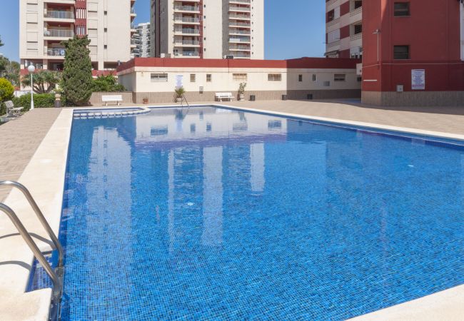 Apartment in Playa de Gandía - Amazing holidays in front of the sea. Fully refurbished Apartment in Playa de Gandía - Amazing holidays in front of the sea. Fully refurbished