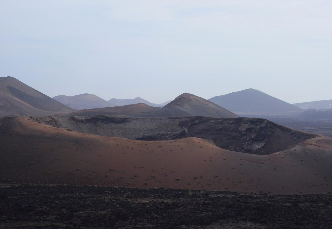 Apartment in Arrecife - Alisios, the starting point to know Lanzarote 