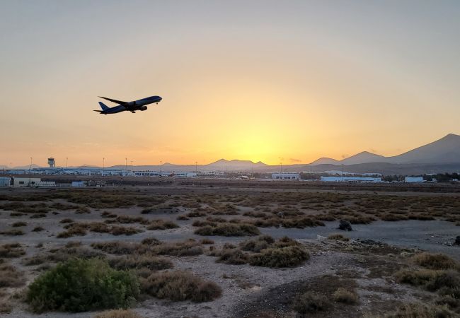 Apartment in Playa Honda - Ambar | Apartment in Lanzarote - Canary Islands - Spain Apartment in Playa Honda - Ambar | Apartment in Lanzarote - Canary Islands - Spain