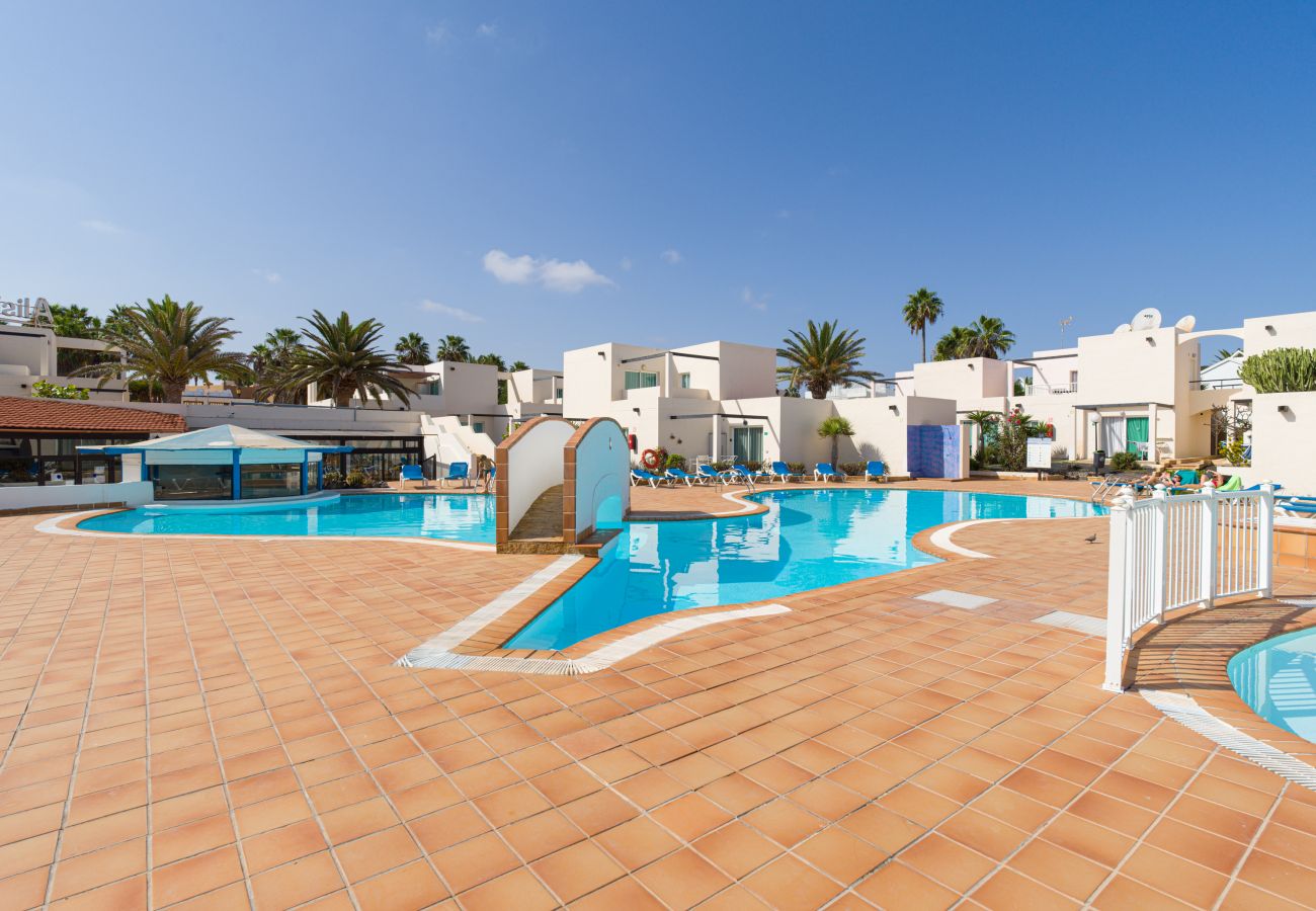 Apartment in Corralejo - Modern apartment. Swimming pool and terrace. Right on the beach in Corralejo - Home For Guest