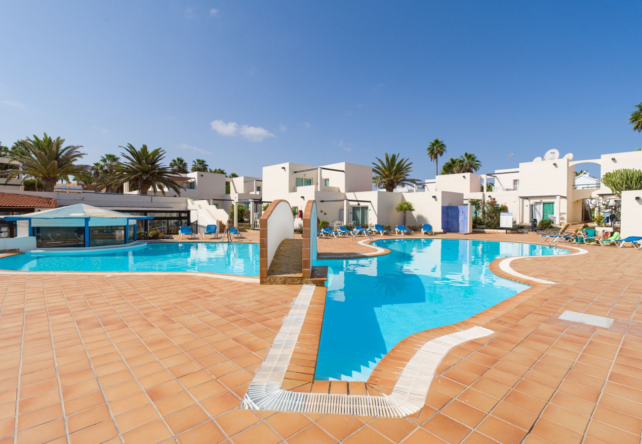 Apartment in Corralejo - Modern apartment. Swimming pool and terrace. Right on the beach in Corralejo - Home For Guest