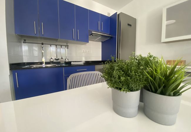 Studio in Puerto del Carmen - Appartement Villalia  Studio in Puerto del Carmen - Appartement Villalia