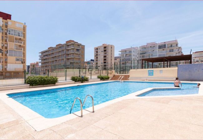 Apartment in Playa de Gandía - Apartment for a Premium holidays face to the Sea Apartment in Playa de Gandía - Apartment for a Premium holidays face to the Sea