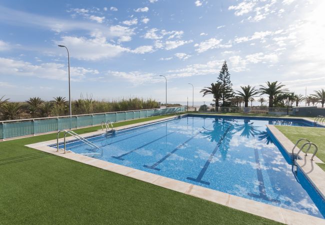 Apartment in Playa de Gandía - AIGUABLAVA 8-7 Apartment in Playa de Gandía - AIGUABLAVA 8-7