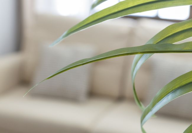 Apartment in Playa de Gandía - Holidays you will never forget.  Apartment in Playa de Gandía - Holidays you will never forget.