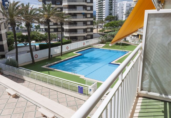 Apartment in Playa de Gandía - Holidays you will never forget.  Apartment in Playa de Gandía - Holidays you will never forget.