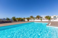 Apartment in Costa Teguise - Adama | Apartment in Lanzarote - Canary Islands - Spain - GESCAV