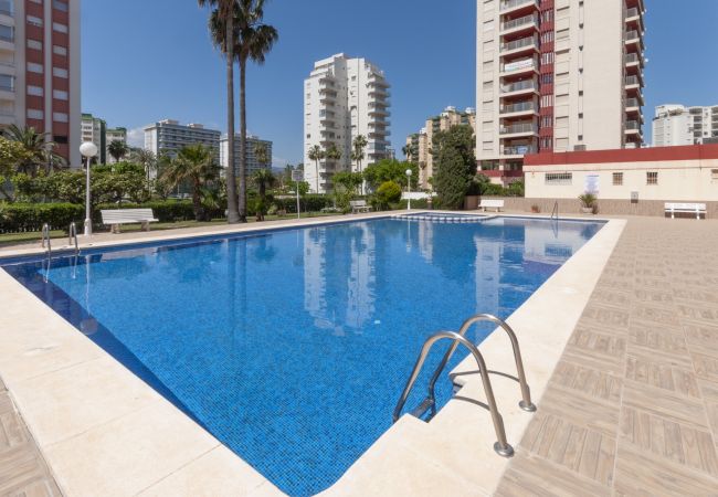 Apartment in Playa de Gandía - Amazing flat in front of the sea. Fully refurbished Apartment in Playa de Gandía - Amazing flat in front of the sea. Fully refurbished