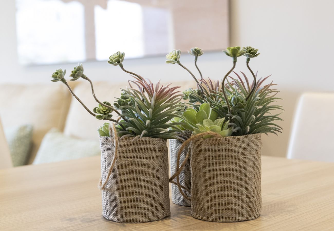 Apartment in Playa de Gandía - Luxury vacations in Bermuda Apartments in front of the beach