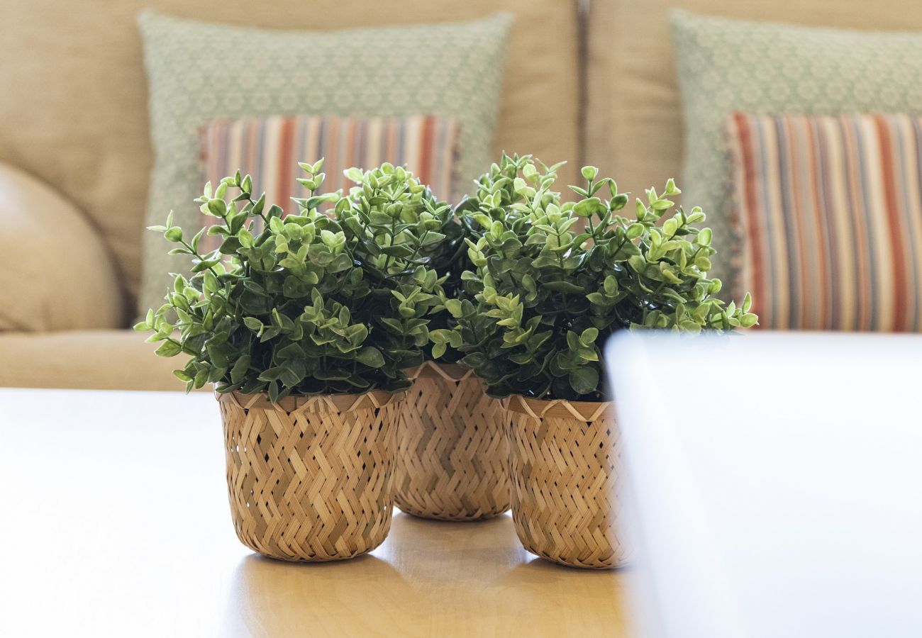 Apartment in Playa de Gandía - Luxury vacations in Bermuda Apartments in front of the beach