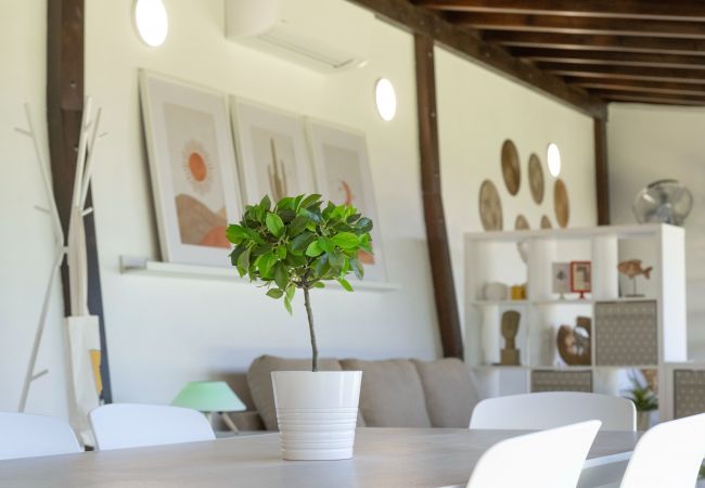 Studio in Santa Cruz de Tenerife - modern loft recently renovated In Santa Cruz de Tenerife 02 Studio in Santa Cruz de Tenerife - modern loft recently renovated In Santa Cruz de Tenerife 02