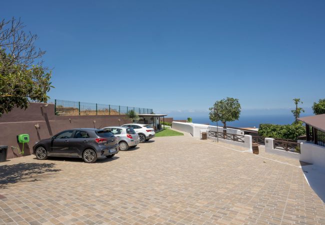 Studio in Santa Cruz de Tenerife - modern loft recently renovated In Santa Cruz de Tenerife 02 Studio in Santa Cruz de Tenerife - modern loft recently renovated In Santa Cruz de Tenerife 02