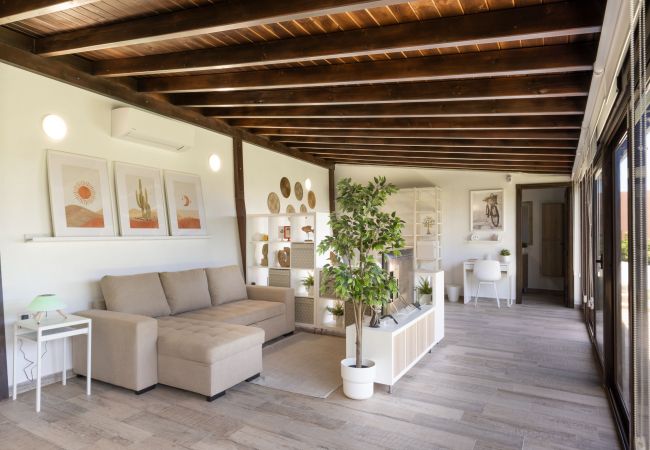 Studio in Santa Cruz de Tenerife - modern loft recently renovated In Santa Cruz de Tenerife 02 Studio in Santa Cruz de Tenerife - modern loft recently renovated In Santa Cruz de Tenerife 02